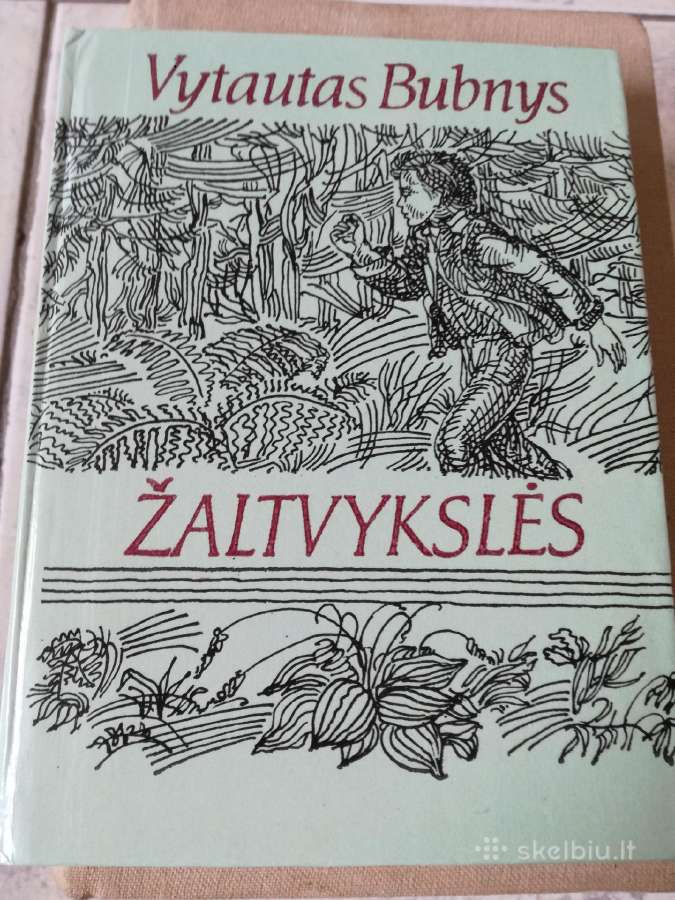 V.bubnys -knygos - nuotraukos Nr. 2
