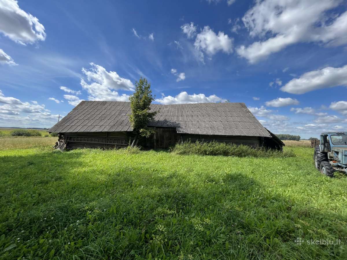 Klojimas nusikėlimui