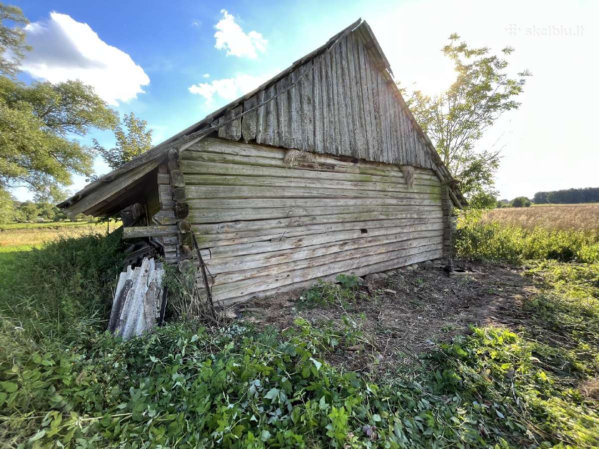 Klojimas nusikėlimui - nuotraukos Nr. 2
