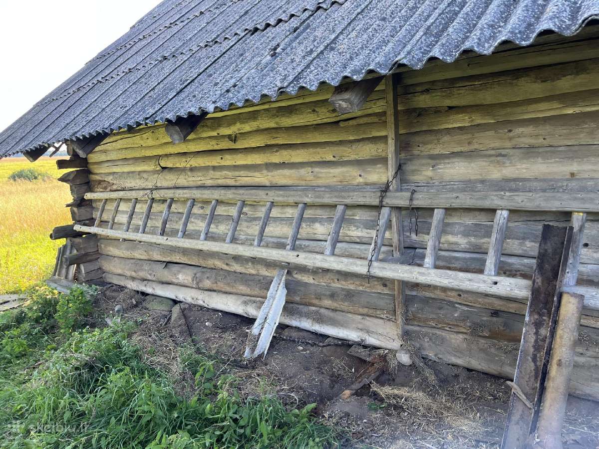 Klojimas nusikėlimui - nuotraukos Nr. 3
