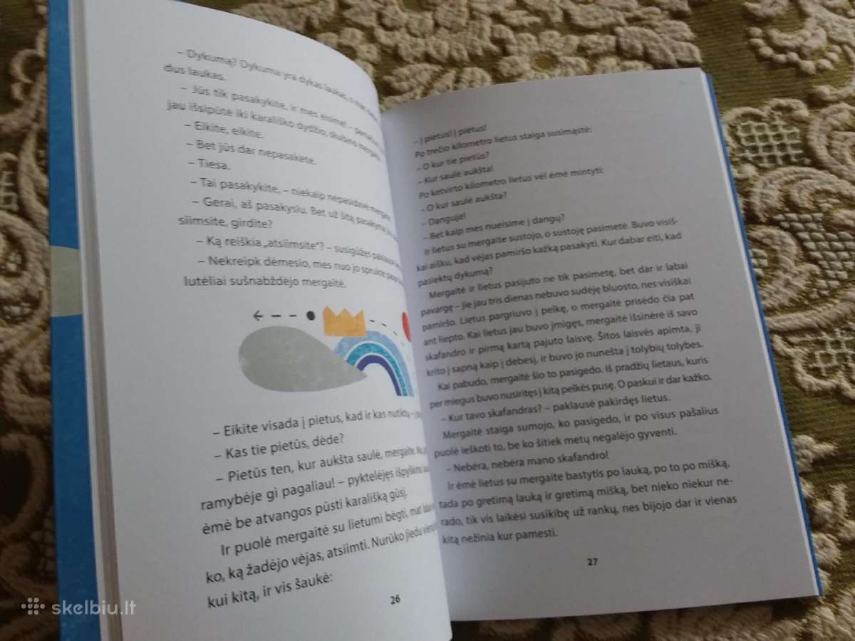 Lietus Ir Skafandras Dovilė Zavedskaitė 2019 m. - nuotraukos Nr. 2