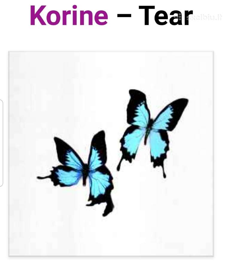 Korine lp. ( korine plokstele )