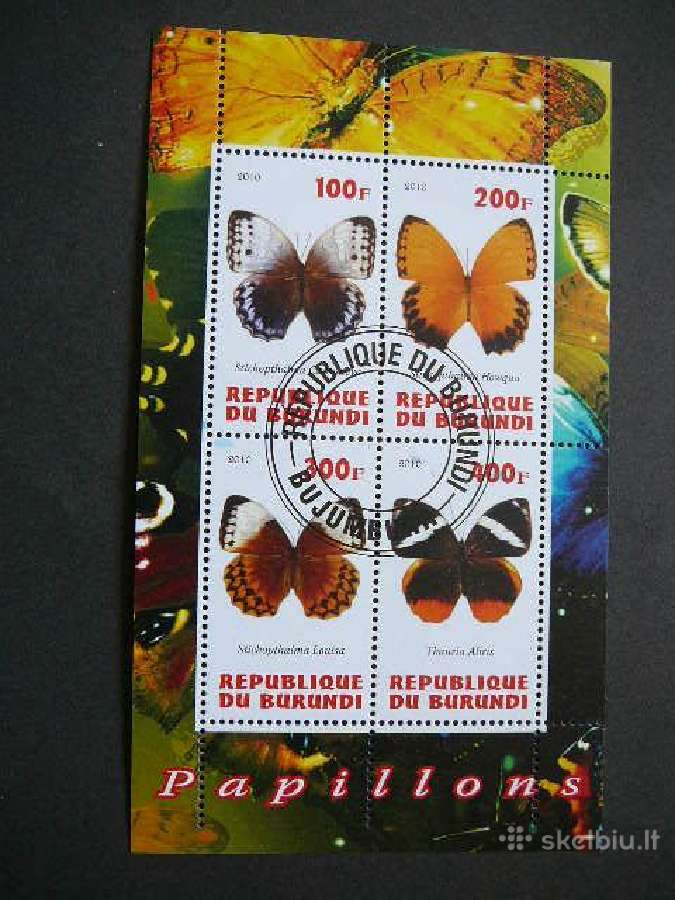 Drugeliai Burundis 2010 antsp. g213