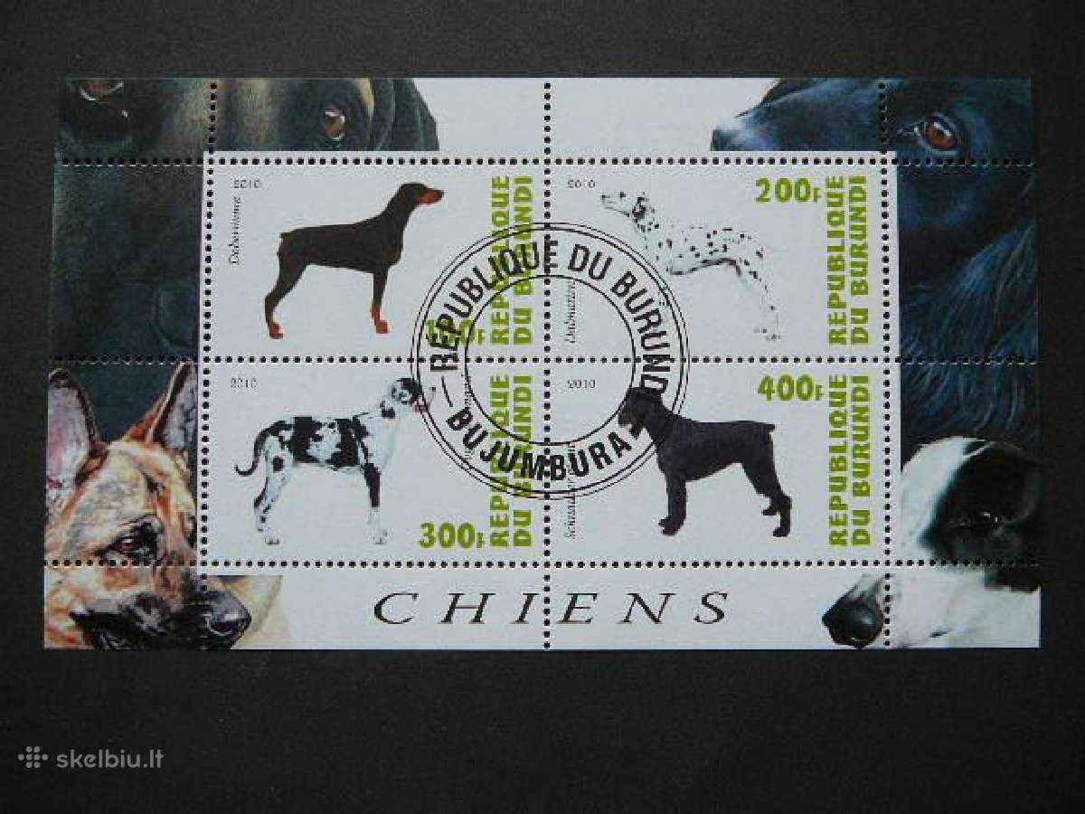 Sunys Burundis 2010 antsp. g216