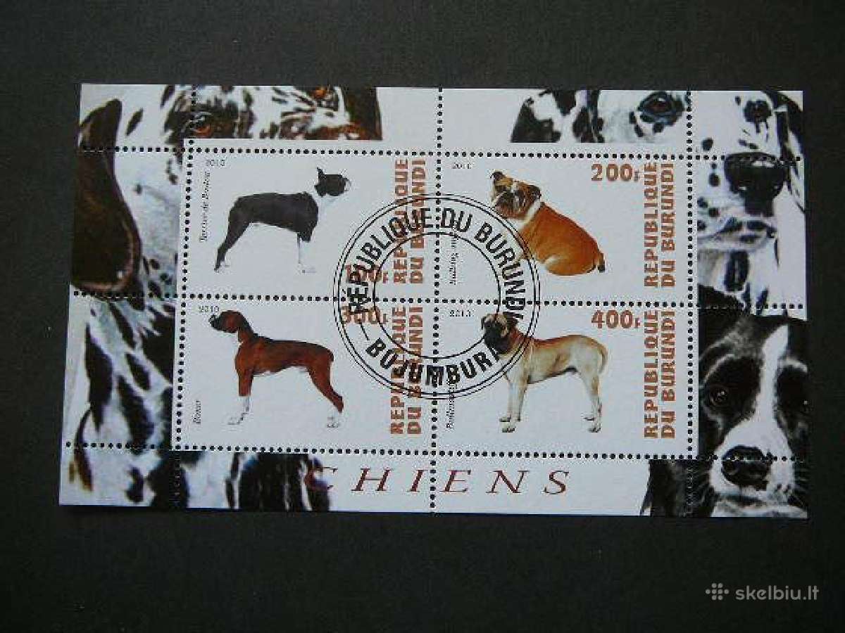 Sunys Burundis 2010 antsp. g218