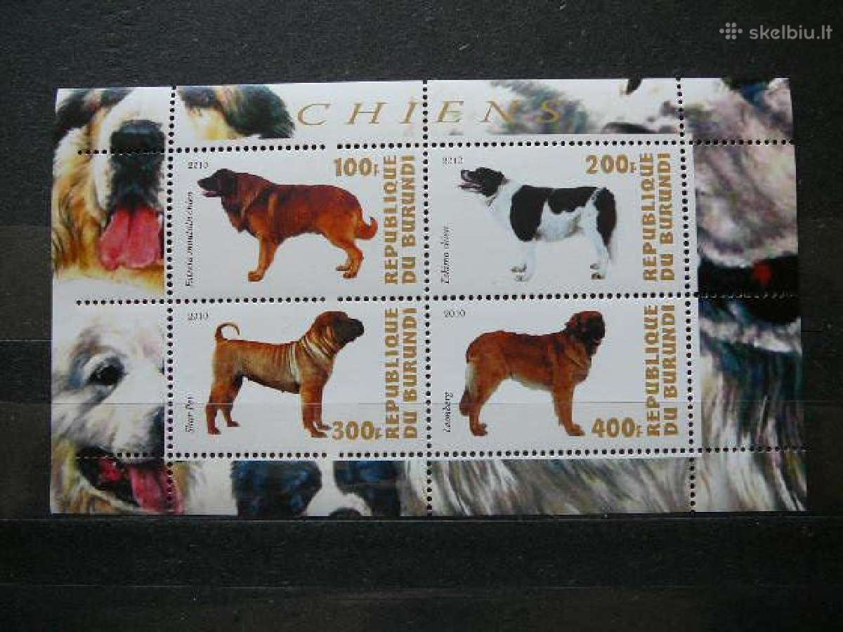 Sunys Burundis 2010 svarus g214a