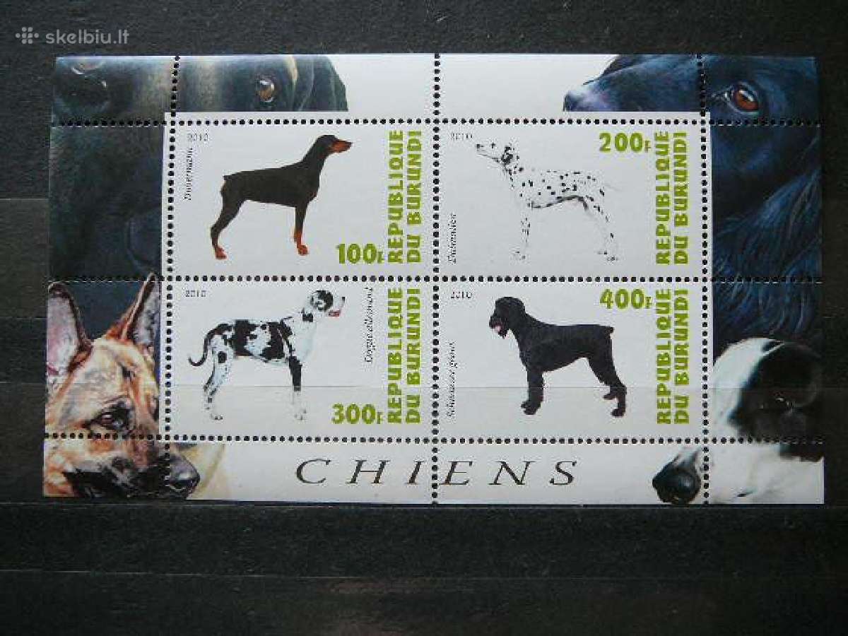 Sunys Burundis 2010 svarus g216a