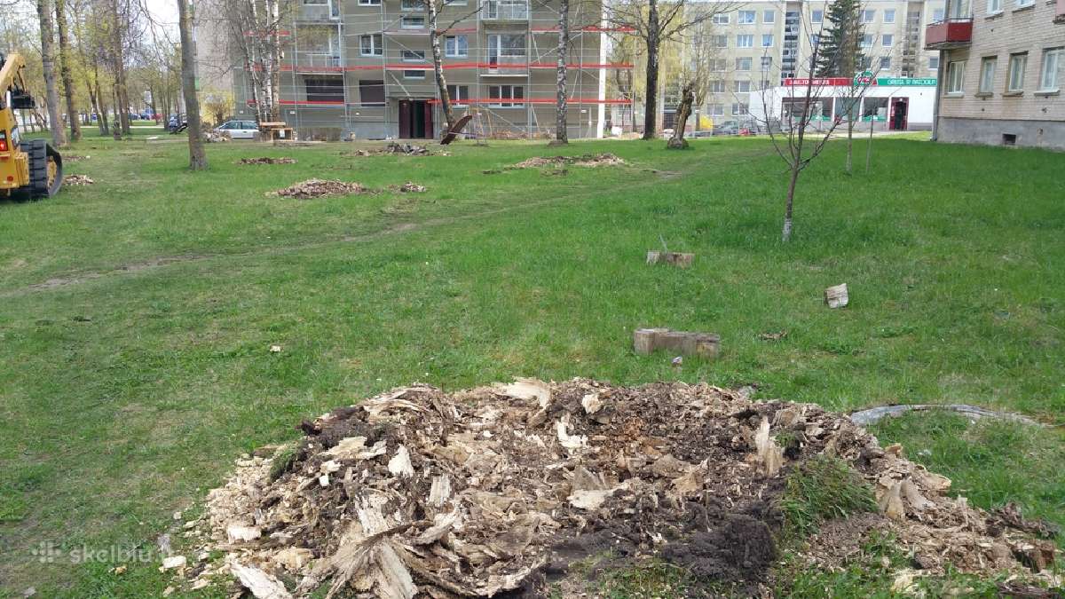 Krūmų, krūmynų, kelmų šalinimas mechanizuotu būdu - nuotraukos Nr. 5