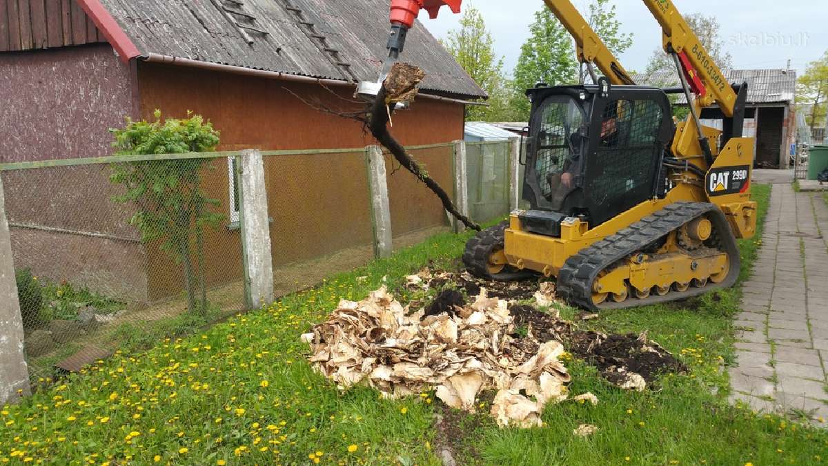 Krūmų, krūmynų, kelmų šalinimas mechanizuotu būdu - nuotraukos Nr. 4