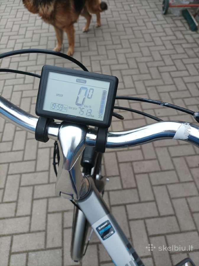 Giant Prime electric - nuotraukos Nr. 7