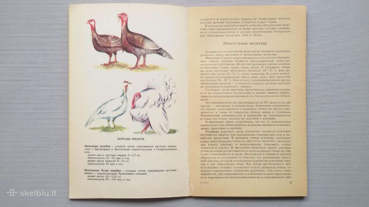 Knygelė paukščių perinimas namų sąlygomis - nuotraukos Nr. 2