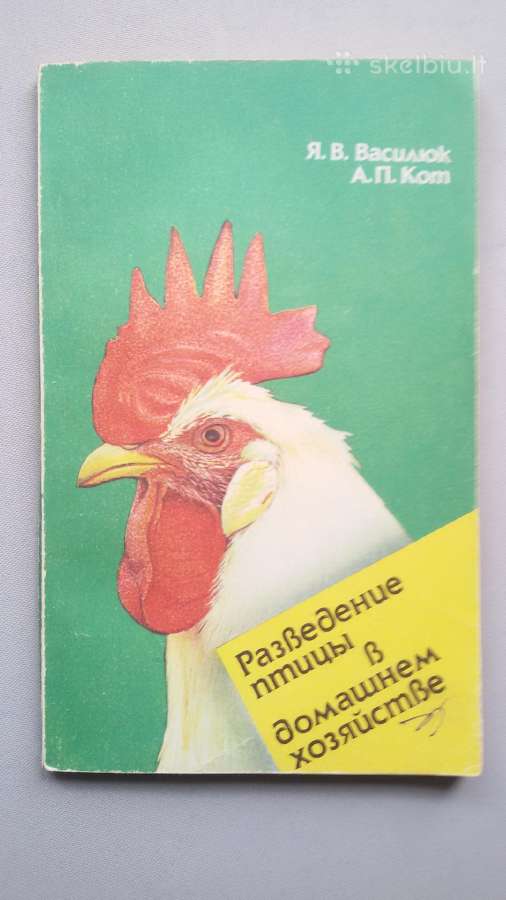 Knygelė paukščių perinimas namų sąlygomis - nuotraukos Nr. 7