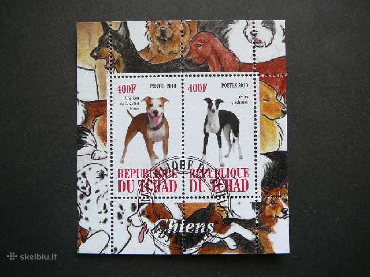 Sunys Cadas 2010 antsp. g244