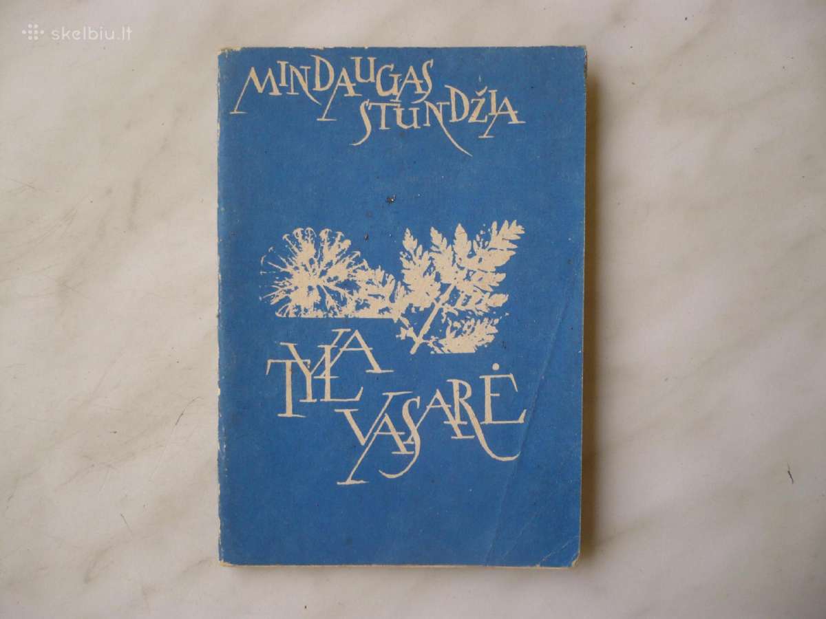 M. Stundžia - Tyla vasarė