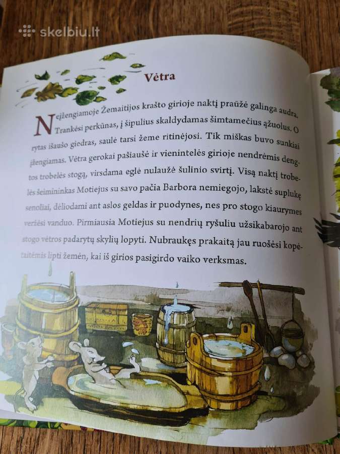 Pasaka apie galiūną Džiugą - nuotraukos Nr. 8