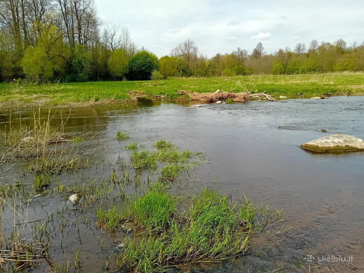Baidarių nuoma Ventos upe - nuotraukos Nr. 4