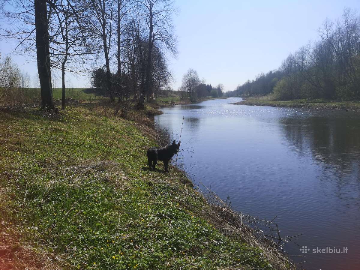 Baidarių nuoma Ventos upe - nuotraukos Nr. 8