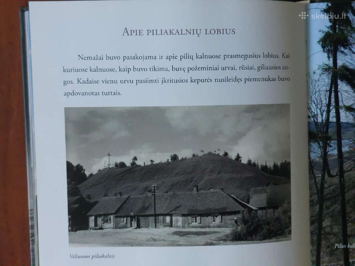 R. Repšienė - Lietuvos piliakalnių legendos - nuotraukos Nr. 12