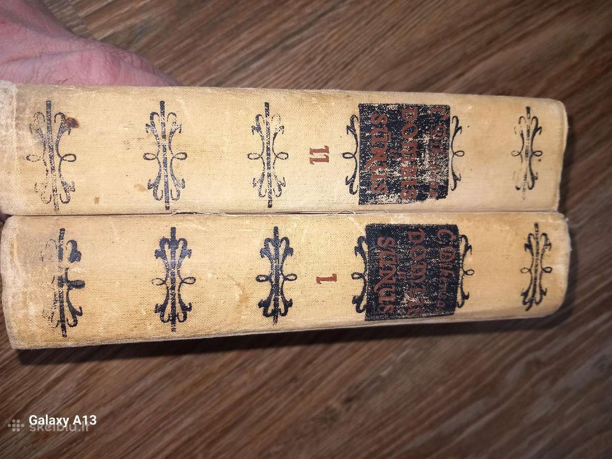 Čarlzo Dikenso romanas Dombis ir sūnus - nuotraukos Nr. 2