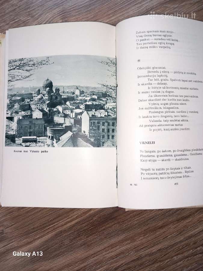 Poezijos rinkinys Graži tu mano brangi Tėvyne. - nuotraukos Nr. 4