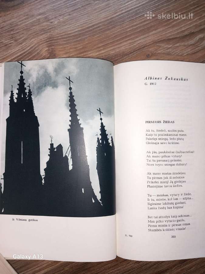 Poezijos rinkinys Graži tu mano brangi Tėvyne. - nuotraukos Nr. 5