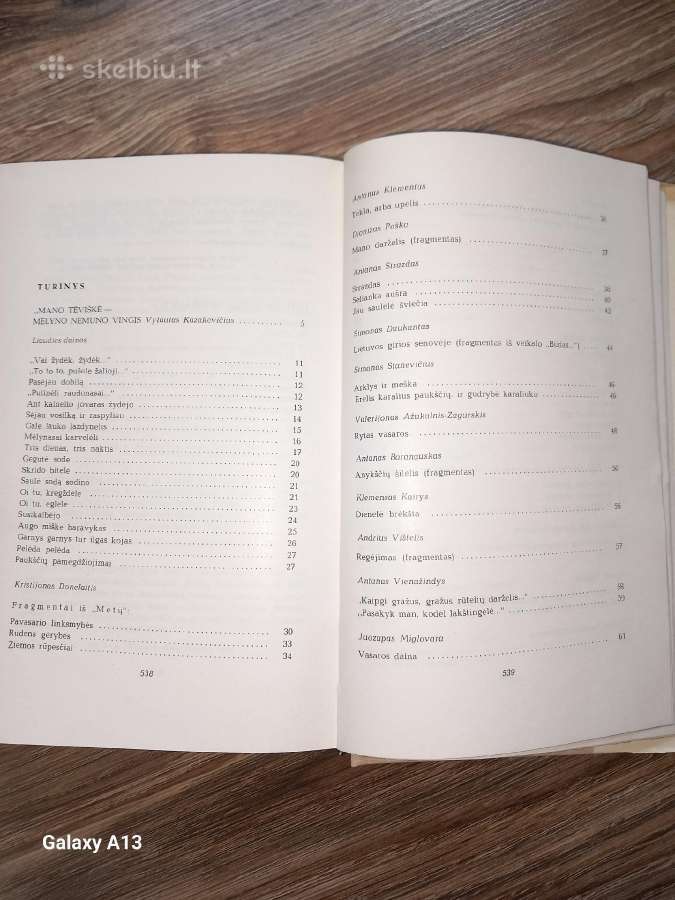 Poezijos rinkinys Graži tu mano brangi Tėvyne. - nuotraukos Nr. 6