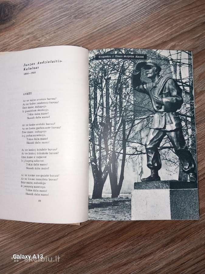 Poezijos rinkinys Graži tu mano brangi Tėvyne. - nuotraukos Nr. 8