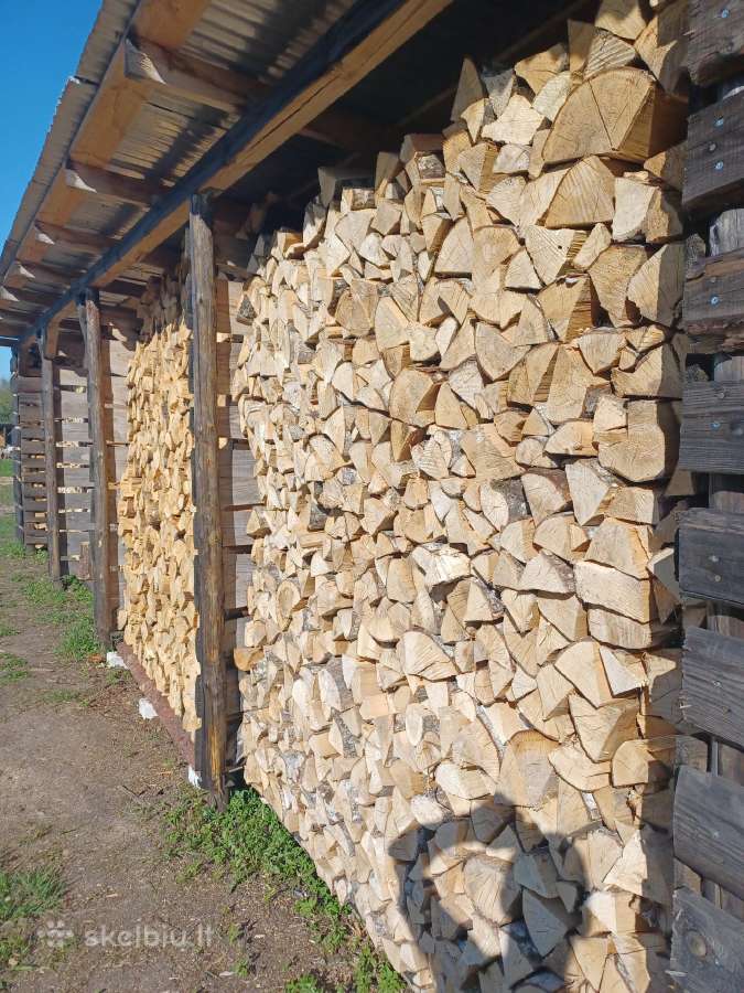 Malkos Utenoje, Ignalinoje, Molėtuose, Vilniuje - nuotraukos Nr. 3