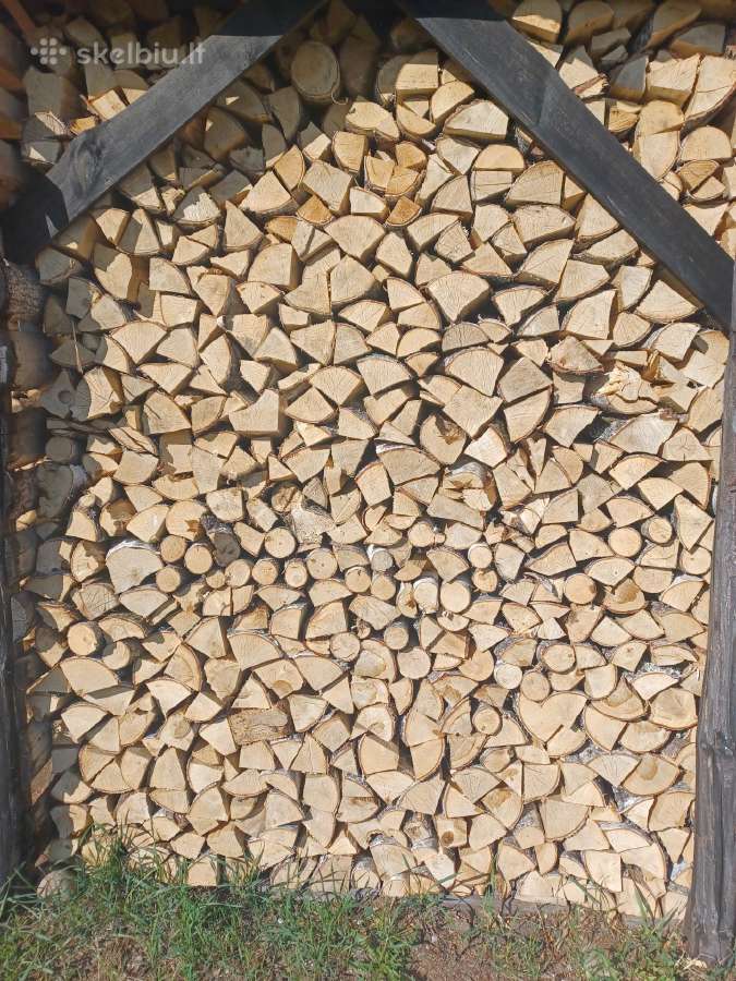 Malkos Utenoje, Ignalinoje, Molėtuose, Vilniuje - nuotraukos Nr. 8