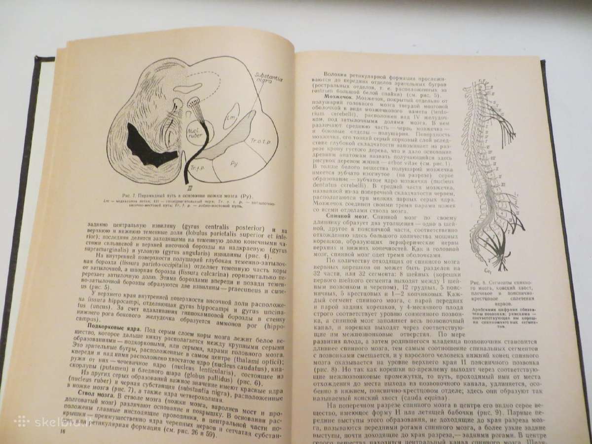 Knyga Nervų ligos V.v. Micheev, 1974 m. - nuotraukos Nr. 7