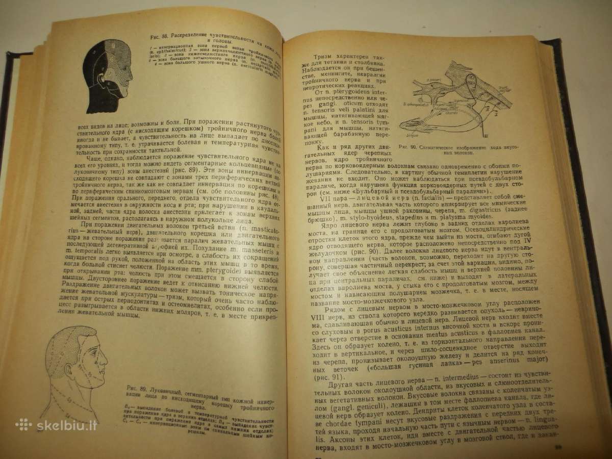 Knyga Nervų ligos V.v. Micheev, 1974 m. - nuotraukos Nr. 14