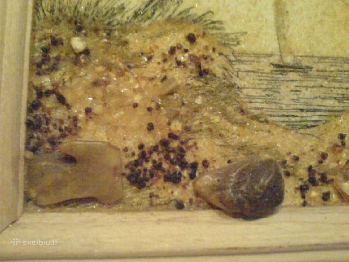 Paveikslai su gintaro inkrustacija.,senoviniai. - nuotraukos Nr. 4