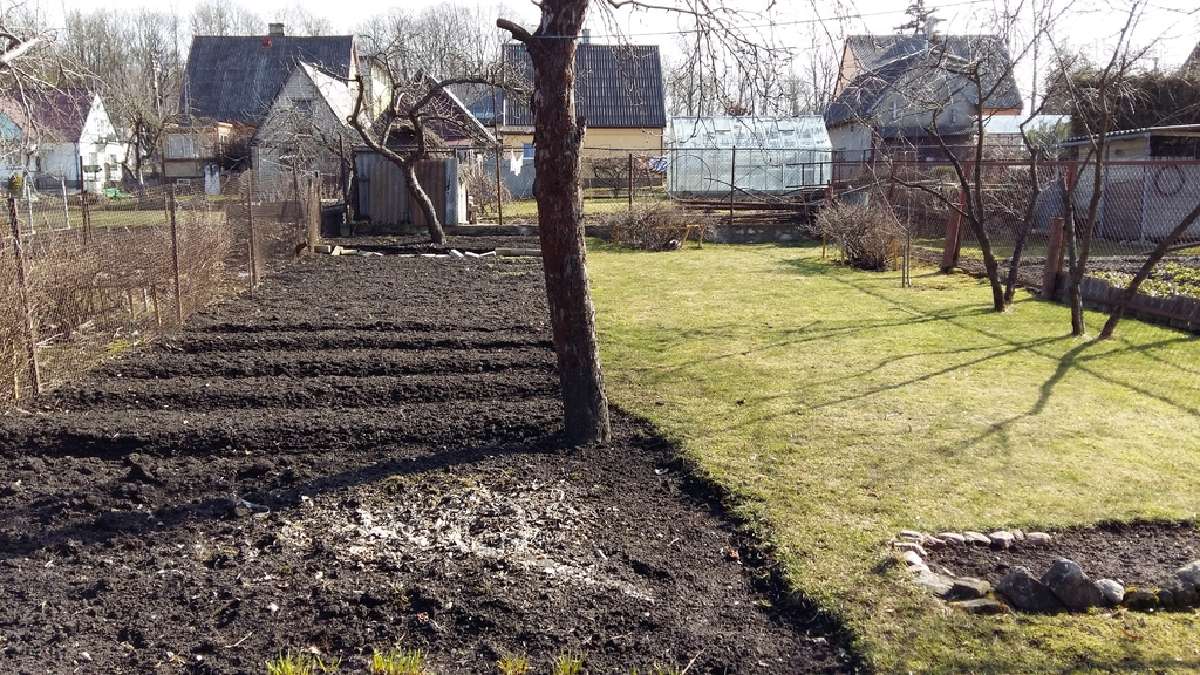 Namas labai geroje vietoje, miesto centre. - nuotraukos Nr. 19