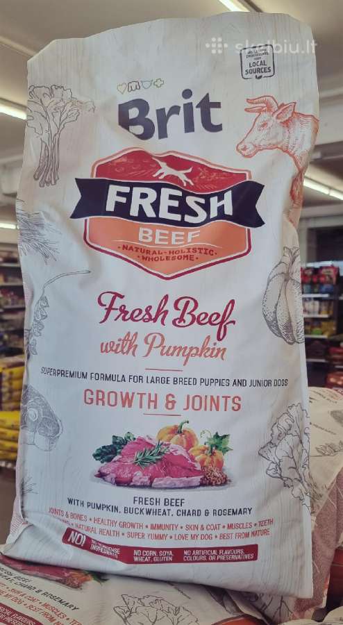 Brit Fresh Beef with Pumpkin Puppy Large
