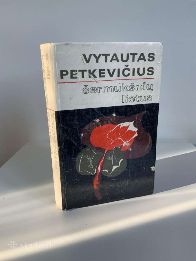 Knyga - Šermukšnių Lietus
