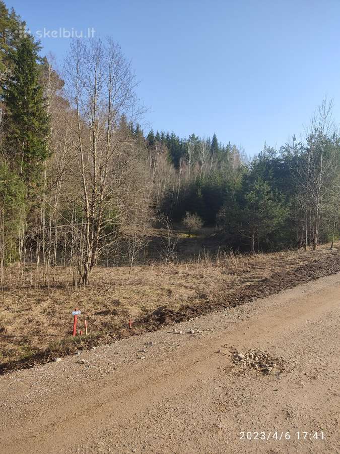 Parduodamas 0,82ha žemės ūkio paskirties sklypas - nuotraukos Nr. 5