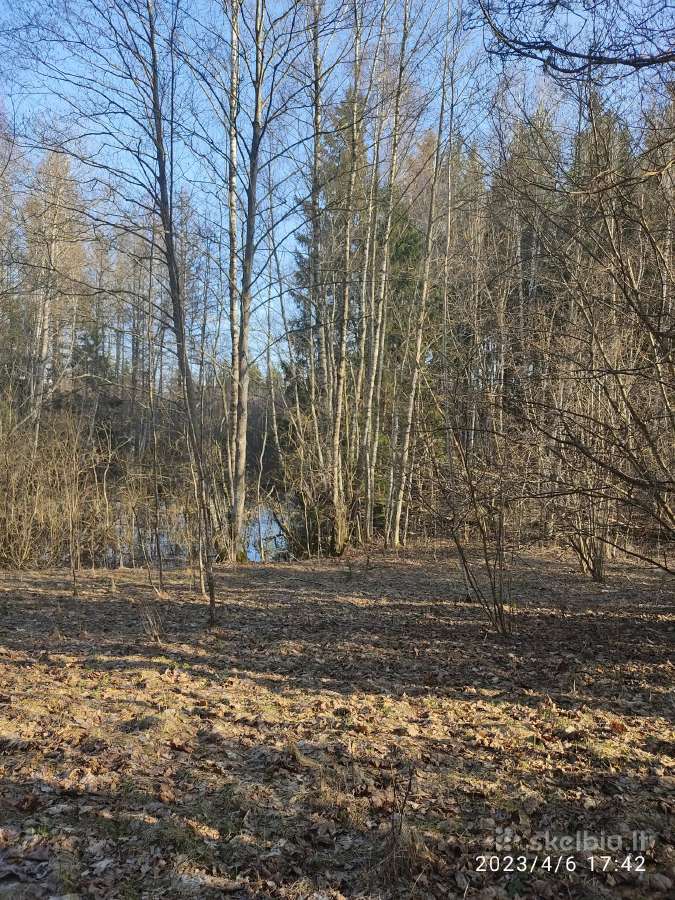 Parduodamas 0,82ha žemės ūkio paskirties sklypas - nuotraukos Nr. 6
