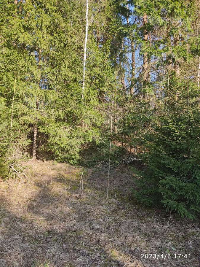 Parduodamas 0,82ha žemės ūkio paskirties sklypas