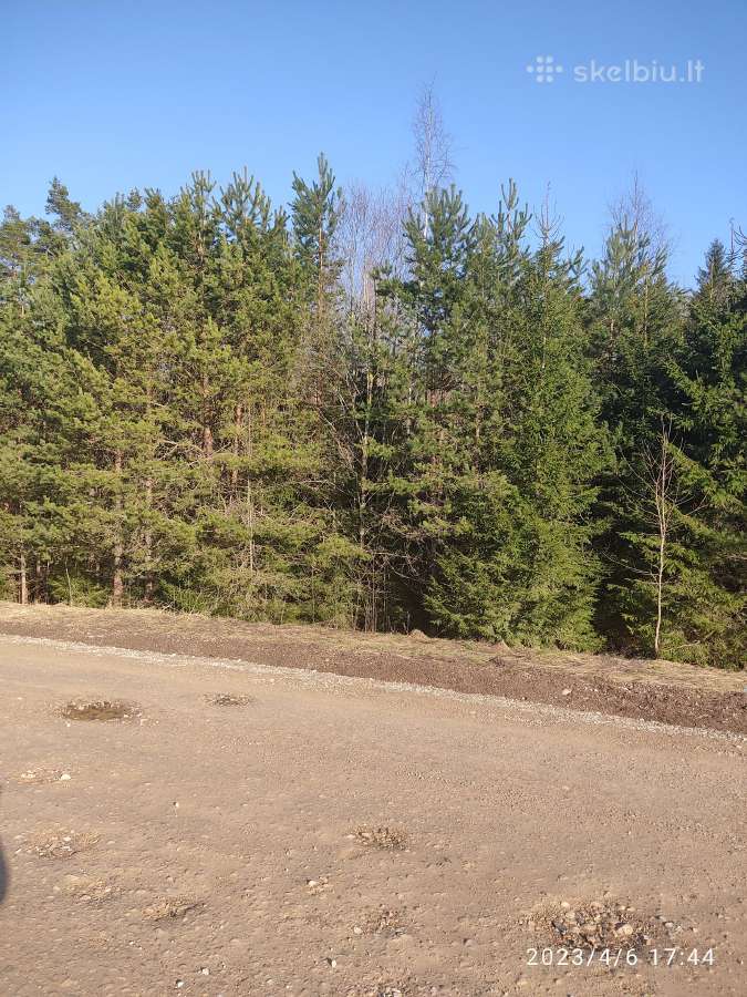 Parduodamas 0,82ha žemės ūkio paskirties sklypas - nuotraukos Nr. 4