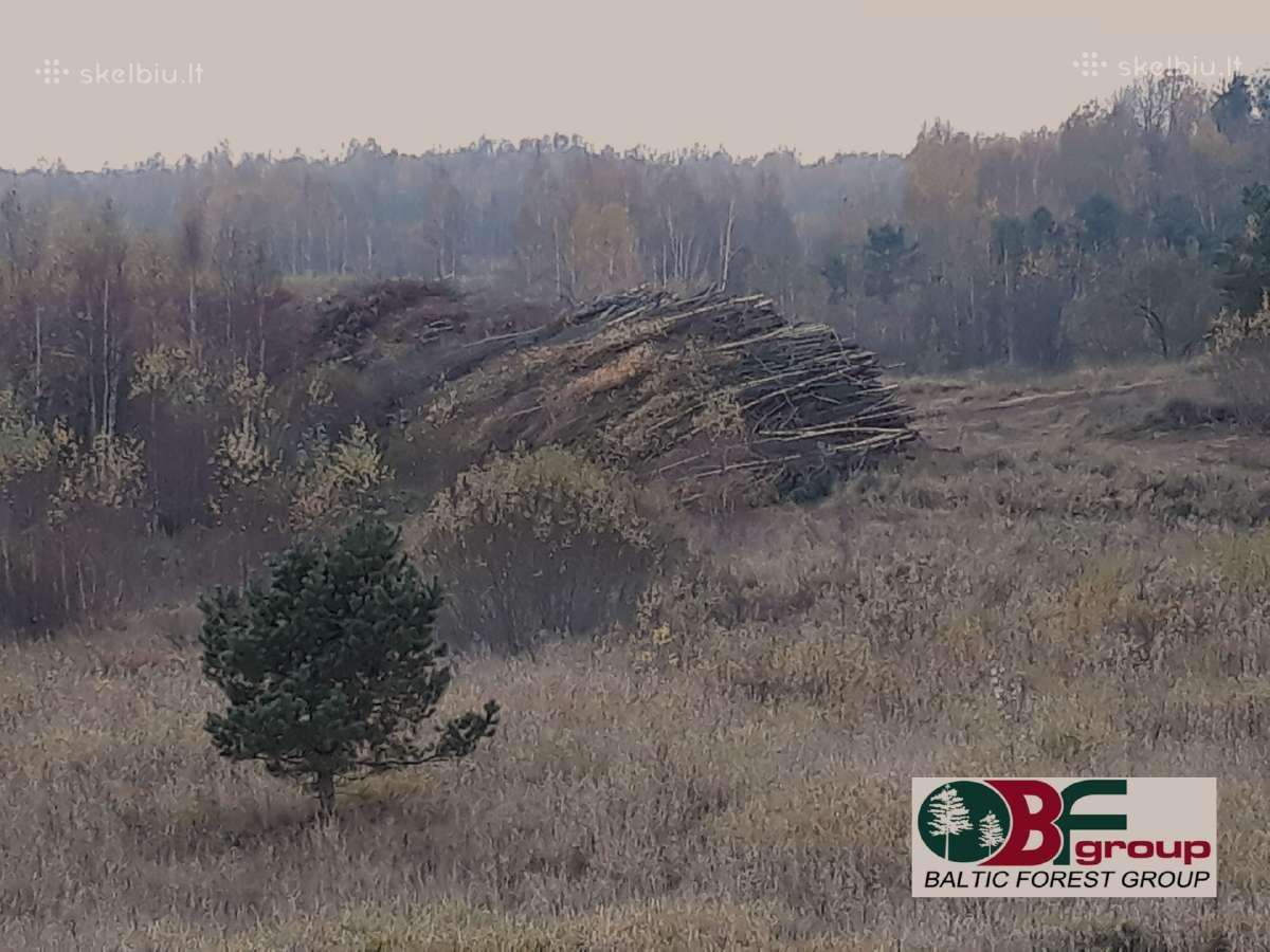 Krūmų, medžių kirtimas apleistose žemėse.primokame - nuotraukos Nr. 9