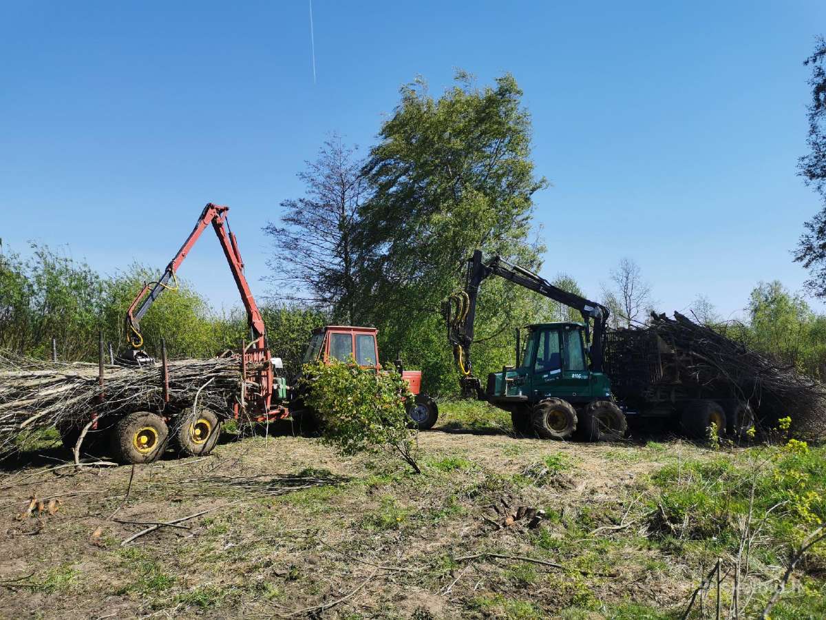 Medžių pjovimas,genėjimas,apleistų sklypų, šakų - nuotraukos Nr. 18