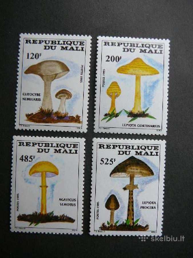 Grybai Mali 1985 svarus mli1038
