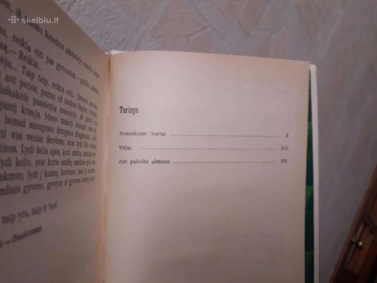 Vladas Dautartas "Teka upė pro šalį" 1989 metai - nuotraukos Nr. 3