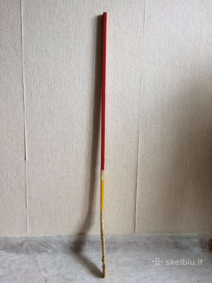 1991 m. gamybos Ledo ritulio lazda. - nuotraukos Nr. 3