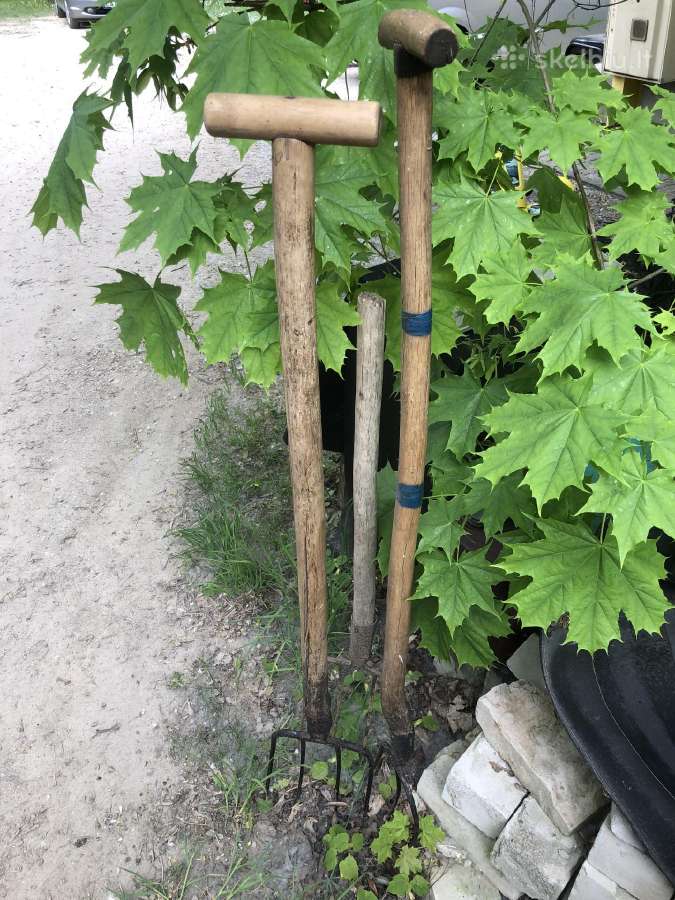 Šakės