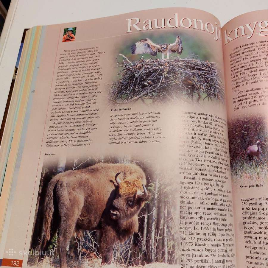 Šeimos enciklopedija - nuotraukos Nr. 3