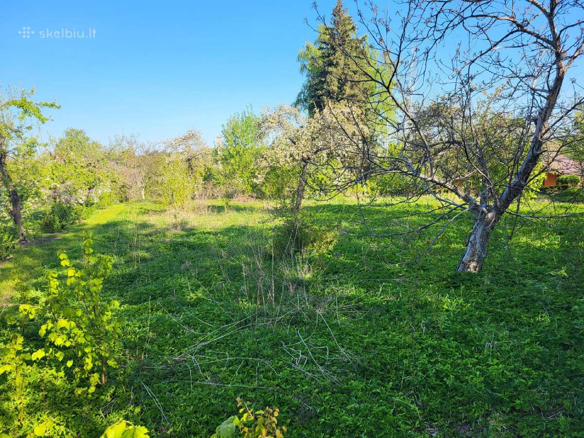 Vejos,keliu,aikšteliu irengimas,giluminis frezavim - nuotraukos Nr. 16