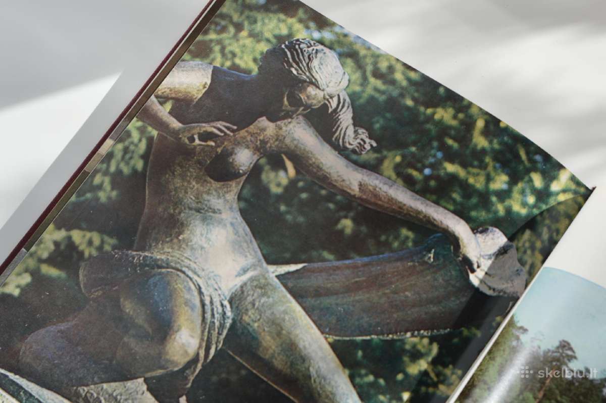 Fotografijų rinktinė albumas