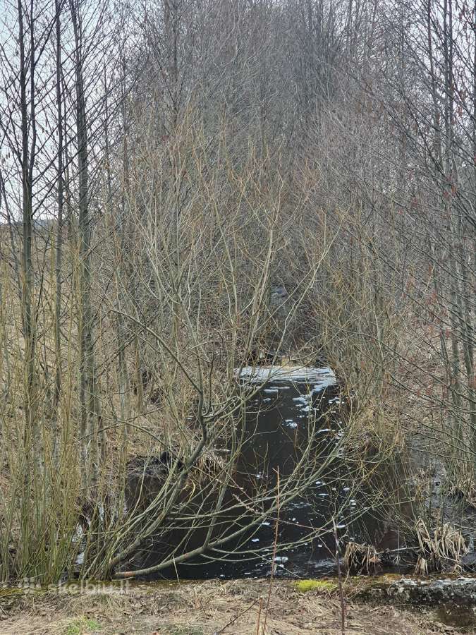Parduodama sodyba, Valatkiškės, Šalčininkų r. - nuotraukos Nr. 9