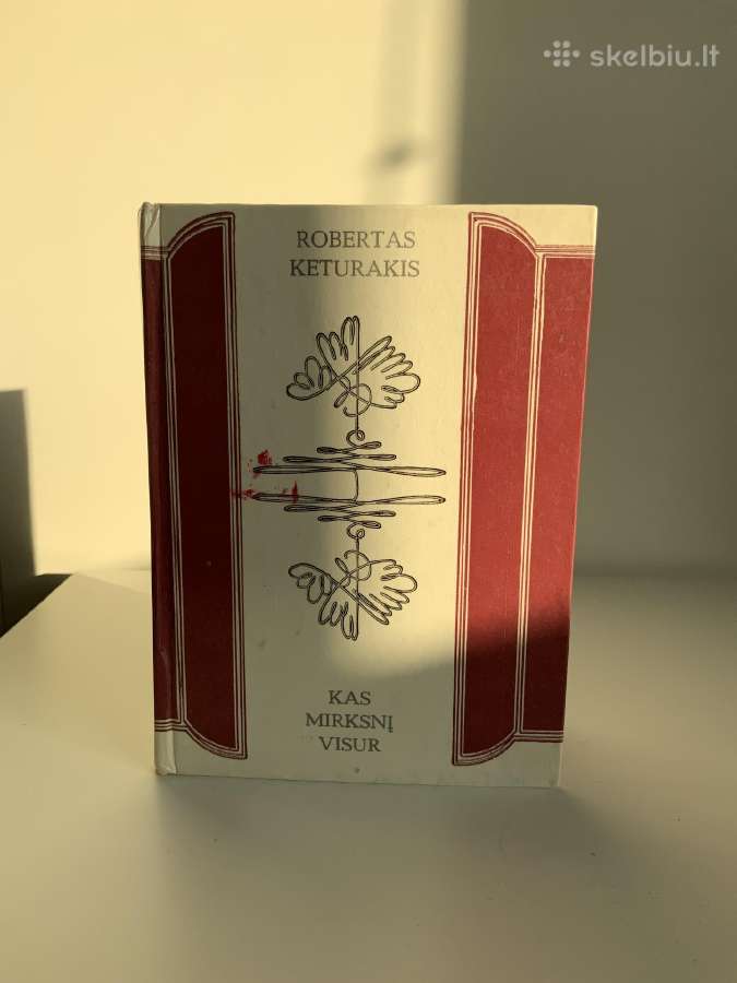 Knyga - Kas mirksnį visur